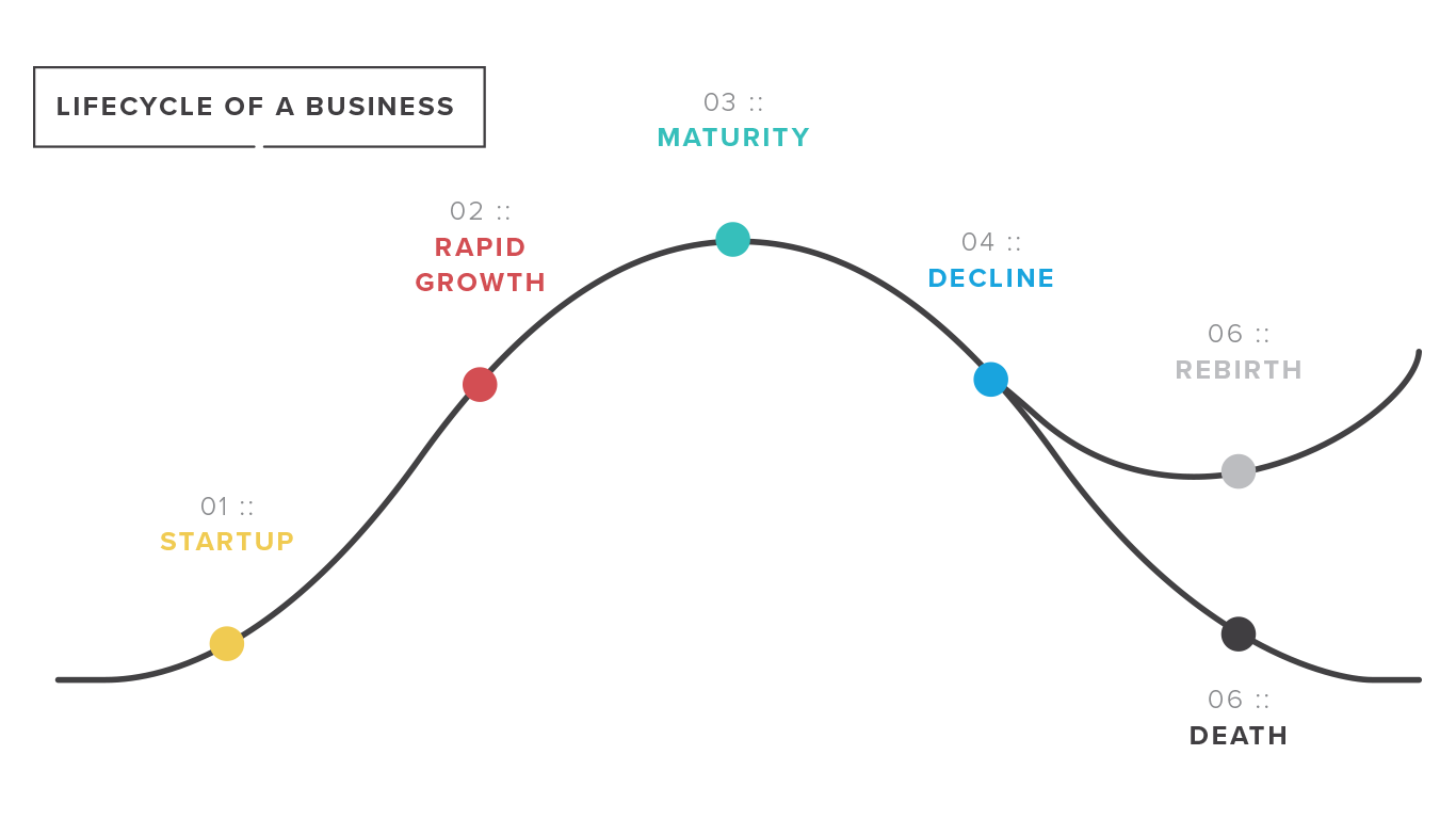 Where Are You In Your Business Lifecycle? - Brew Agency